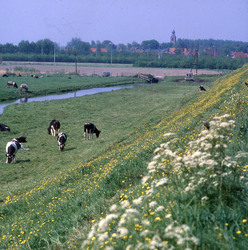 DIA_GF_1404 Vanaf de Heindijk in de richting van Oostvoorne. De hoogspanningsleiding was toen nog niet aangelegd en de ...