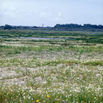 DIA_GF_1428 Braakliggend terrein op Goeree; 8 augustus 1980