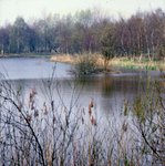 DIA_GF_1445 De Tenellaplas in het vroege voorjaar; 10 april 1981