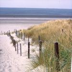 DIA_GF_1448 Het pad naar het strand bij kilometerpaal 9; 24 april 1981