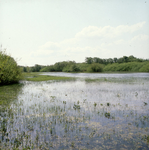 DIA_GF_1477 De plas op de hoek van de Branddijk en het Valleipad; 18 mei 1983