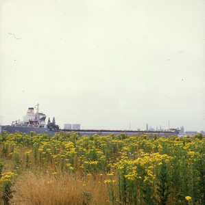 DIA_GF_1488 Tanker achter het Jacobskruiskruid; 13 juli 1983