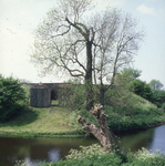 DIA_GF_1495 De burcht van Oostvoorne, ook wel Jacobaburcht; 18 mei 1984