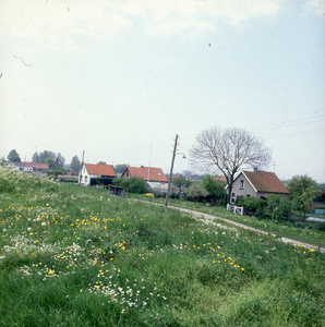 DIA_GF_1499 Toch weer mooie bloemen langs de Heindijk; 18 mei 1984