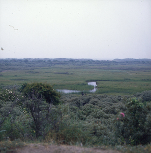 DIA_GF_1503 Panorama van de Kwade Hoek; 10 juli 1984