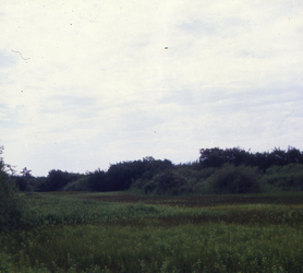 DIA_GF_1523 De plas op de hoek van het Valleipad en de Branddijk stond nu droog; 12 juli 1984