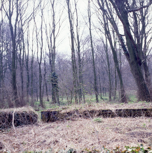 DIA_GF_1551 De fundering van de middeleeuwse vuurtoren in Mildenburg; 25 april 1986