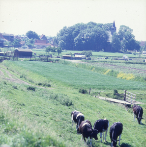 DIA_GF_1553 Gezicht op Zwartewaal vanaf de Maasdijk; 13 juni 1986
