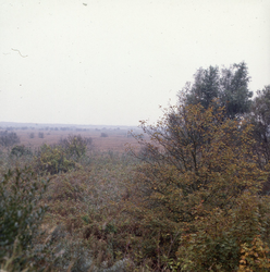 DIA_GF_1575 De duinen van Voorne vanaf het uitzichtpunt langs de Sipkesslag bij het voormalige vliegveld; 3 oktober 1988