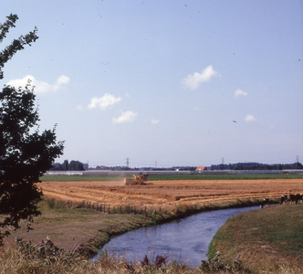 DIA_GF_1602 Korenveld bij Den Briel vanaf de Brielse Maasroute; 14 augustus 1990
