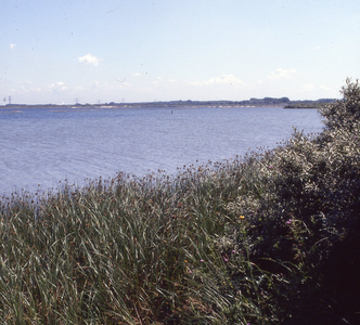 DIA_GF_1606 Het Oostvoornse Meer in de richting van Oostvoorne; 17 juli 1991