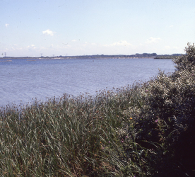 DIA_GF_1606 Het Oostvoornse Meer in de richting van Oostvoorne; 17 juli 1991
