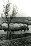 AB_KATERWAALSEDIJK_001 Wiel langs de Katerwaalsedijk; 1991