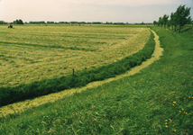 AB_KATERWAALSEDIJK_004 De Haasdijk, gezien vanaf de Eeweg richting de Molendijk van Oudenhoorn; 1995