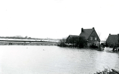 AB_WATERSNOODRAMP_022 Woningen en tuinderij; 1 februari 1953
