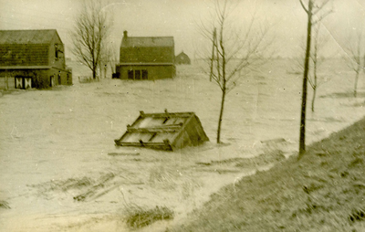 AB_WATERSNOODRAMP_029 Kippenhok door de stroming weggevoerd; 2 februari 1953