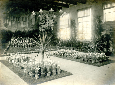 BR_FLORALIA_006 Floralia tentoonstelling in het gymnastieklokaal; 1911