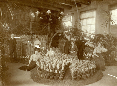 BR_FLORALIA_009 Tentoonstelling van Floralia in het gymnastieklokaal; ca.1909