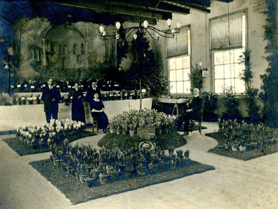 BR_FLORALIA_013 De 19e voorjaarstentoonstelling van Floralia in gymnastieklokaal; 25 februari 1916