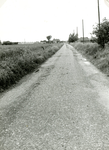 BR_KLOOSTERWEG_004 Kijkje op de Kloosterweg. Op de achtergrond de Hoeve De Prinsenstee; 1959