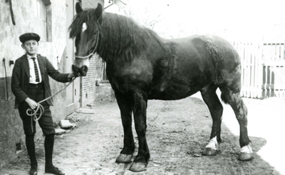 BR_PERS_RIJ_005 Leen van Rij met een Molenpaard; 1924