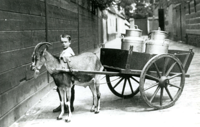 BR_PERS_VEER_002 Gijs van der Veer bij een bokkenwagen met twee melkbussen; ca. 1930