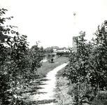 BR_PLANTAGE_013 Kijkje op de Plantage met op de achtergrond de tram over de trambrug; maart 1952