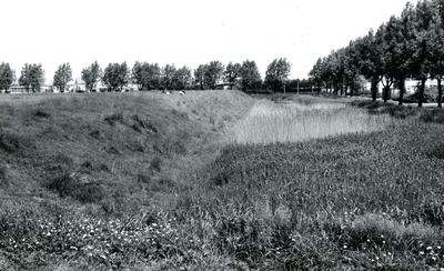 BR_PRIKKEVEST_004 Kijkje op de Prikkevest vanaf de Rochus Meeuwiszoonweg. Rechts de Watersingel en de Ripperdaweg; 1967