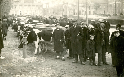 BR_TURFKADE_049 De Keutjesmarkt op de Turfkade: arbeiders en boeren beoordelen de aangevoerde koeien; ca. 1919