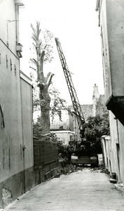 BR_WELLESLOP_006 Kijkje op het Welleslop, waar met een kraan een boom wordt gekapt; 1963