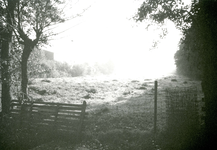 BR_ZUURLANDSEWEG_015 Kijkje op de polder en de bebouwing van de wijk Rugge vanaf de Zuurlandseweg; 1980