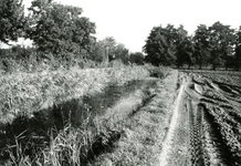 BR_ZUURLANDSEWEG_032 Kijkje op de polder vanaf de Zuurlandseweg; 1980