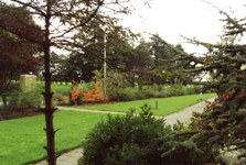 BR_ZUURLANDSEWEG_038 Kijkje op het plantsoen langs de Zuurlandseweg; 1995