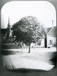 GV_DORPSPLEIN_01 De kastanjeboom (geplant in 1813) staat voor het huis van de familie Swaneveld (met de schoongepoetste ...