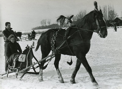 GV_OOSTENRIJK_03 Wedstrijd ringsteken met arresleden op het Oostenrijk; 23 februari 1956