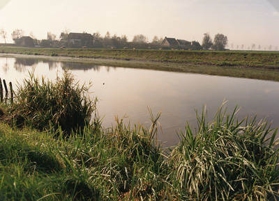 HV_KANAALDIJK_18 Proef met riet langs het Kanaal door Voorne; 1989
