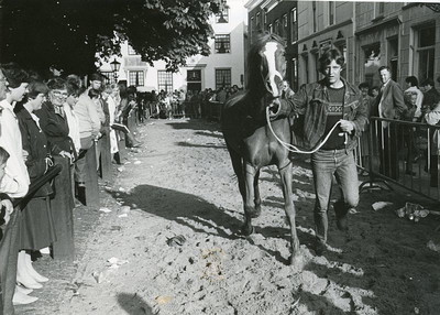 HV_PAARDENMARKT_06 Het tonen van een paard in draf tijdens de paardenmarkt; 26 mei 1983