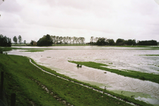 HV_WATEROVERLAST_028 De polder Heenvliet staat onder water na overvloedige regenval; September 1998