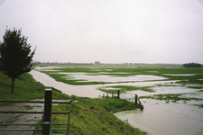 HV_WATEROVERLAST_029 De polder Heenvliet staat onder water na overvloedige regenval; September 1998