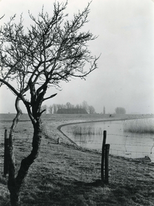 HK_AALDIJK_020 Buitendijks gebied langs het Spui. De Aaldijk met op de achtergrond de boerderij Bouwlust; ca. 1990