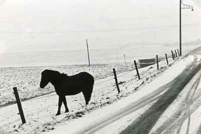 HK_GADDIJK_003 De Gaddijk in de winter; Februari 1978