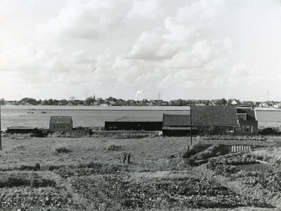 HK_SCHUDDEBEURSEDIJK_005 Boerderij van Van 't Hof langs de Spuidijk, gezien vanaf de Schuddebeursedijk; 1962