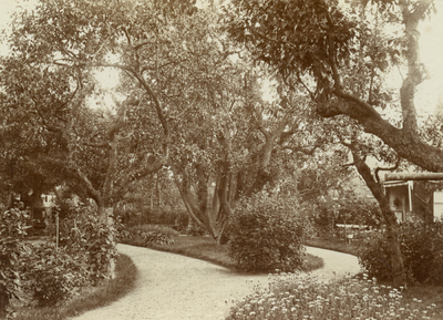 HE_OOSTZANDDIJK_015 Kijkje in de tuin van de Schout bij Nacht M. van der Velde van Kappellen; september 1909