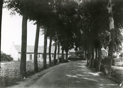 NN_RIJKSSTRAATWEG_021 Kijkje op de Rijksstraatweg; 14 februari 1964