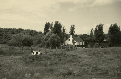 NH_DUINWEG_014 Duinhuisje in de duinen bij Nieuw-Helvoet; ca. 1955