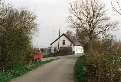 NH_WESTDIJK_012 Partyfarm Steenbeek; april 1994
