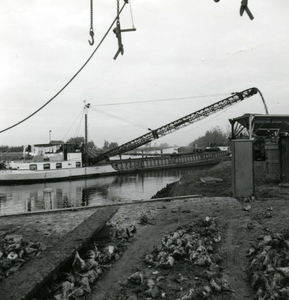 OV_BRIELSEMAASDAM_12 Werkzaamheden voor de aanleg van de Brielse Maasdam; ca. 1950