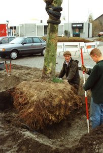 OV_DERUY_05 Het verplaatsen van bomen op De Ruy; 2000