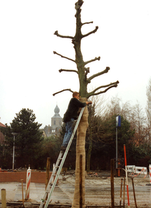OV_DERUY_09 Het verplaatsen van bomen op De Ruy; 2000