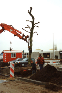 OV_DERUY_13 Het verplaatsen van bomen op De Ruy; 2000